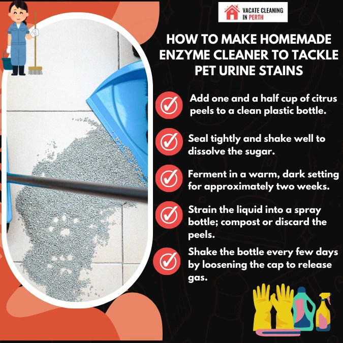 How To Make Homemade Enzyme Cleaner To Tackle Pet Urine Stains