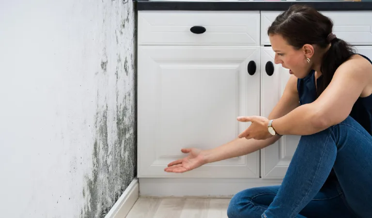 How To Eliminate Mould Before The End Of Lease Inspection?