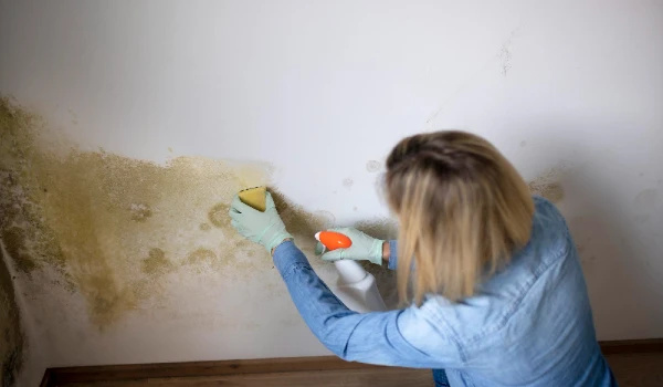 Woman with mouth nose mask cleans mold from dirty apartment wall person