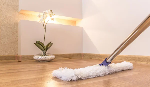 Close-up of mopping the floor and potted plant on table at home